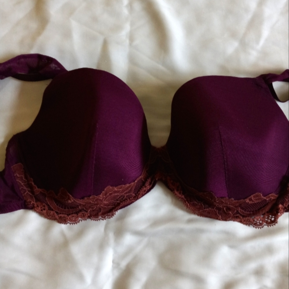 Elegant Purple Lace Bra Andres Sarda